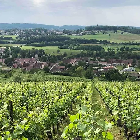 Maison Au Coeur Du Vignoble Jurassien 90 M2 *